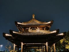 -月湖公园