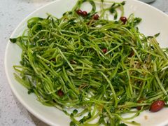 -青花椒花椒鱼(合生汇店)