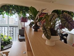 -瑶舍头疗·瑶浴·芳香热石SPA(五洲国际店)