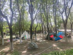 -青龙湖公园