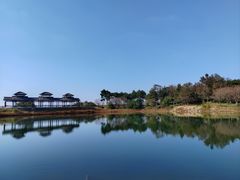 -四明山国家森林公园