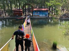 -东方巨龟苑景区