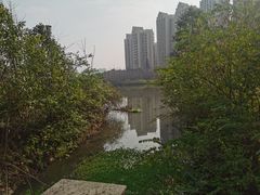 -成都南湖公园