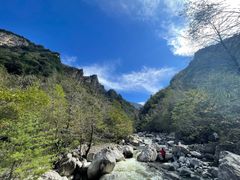 -青峰峡国家森林公园