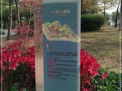 -海珠儿童公园