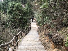 -紫鹊界梯田景区