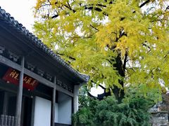 -惠山古镇·寄畅园