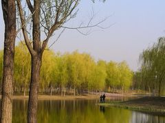 -东郊湿地公园