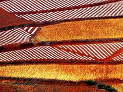 -东吴面馆(十全街店)