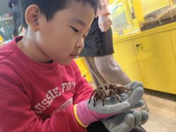 -神奇动物撸宠馆·羊驼·小浣熊·异宠(豫园店)