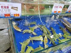 水产区-东江海鲜酒家(艺都分店)