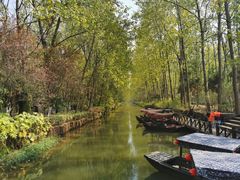 -合肥滨湖国家森林公园