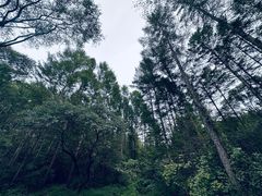 -萨尔浒风景区