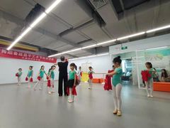 -舞蕾舞蹈·专注中国舞18年(天通苑中心校区)