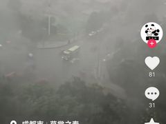 -约翰·菲茨杰拉德·肯尼迪国际机场