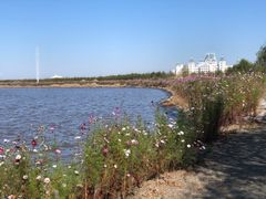 -呼兰河口湿地公园
