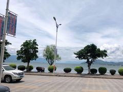 -恋羊时代黑山羊火锅(滨海大道店)