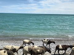 -青海湖国家重点风景名胜区