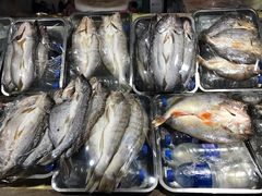 -新疆风味冷水鱼庄(友谊峰路店)