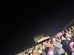 -春花秋色城市公园