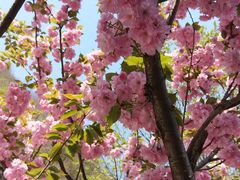 -汉中石门栈道景区
