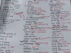 -JT PREP国际学科课程·IB·AP·Alevel(陆家嘴校区)