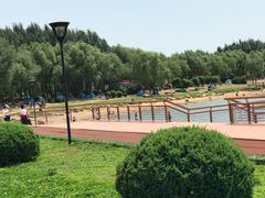 -丁香湖公园