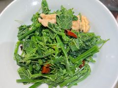-情满四合院•京菜•烤鸭(动物园店)