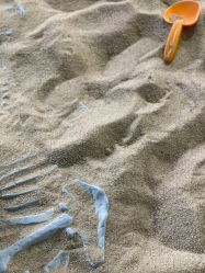 -恐龙探索乐园(磁器口店)