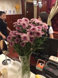-YESIDO椰岛美容