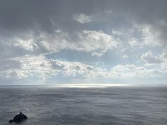 -涉地可支