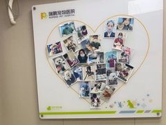 -瑞鹏宠物医院·骨外科·心肾科·肿瘤科(九亭店)