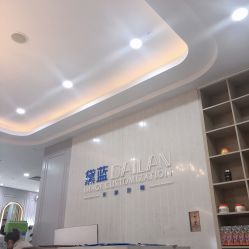 -黛蓝形象定制