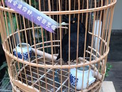 -丽江庭院·云南野生菌·海鲜火锅(鼓楼四合院店)