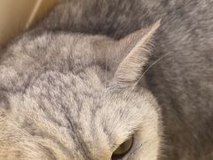 -爱诺耐芙动物医院(万博店)