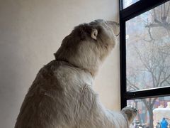 -漆黑觉米粉(三里屯店)