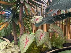 -KingThaia金泰兰(滨江天街店)