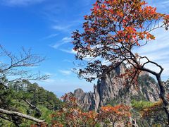 -黄山风景区