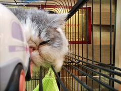 -四季暖堂·融合江浙菜(N1955创业园店)