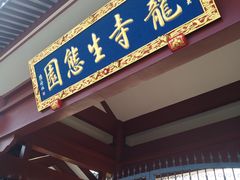 -龙寺生态园
