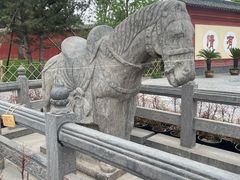 -洛阳白马寺