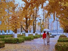 -百林公园-两江幸福广场