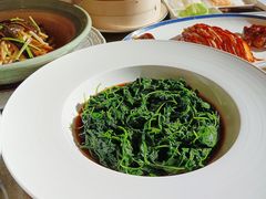 -上海总会SHANGHAICLUB(兴业太古汇店)