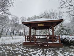 -大兴滨河森林公园