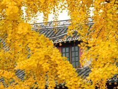 -四川大学(华西校区)