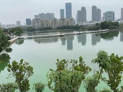 -武汉动物园