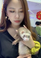 -Moni星球萌宠·小马宝莉·灵蛇·高端高阶全萌宠互动体验俱乐部(红豆国际广场店)