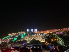 -枇杷园食为鲜火锅(南山店)
