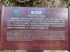 -周洛大峡谷
