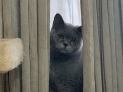 -北京恒爱动物医院(清景园分院)